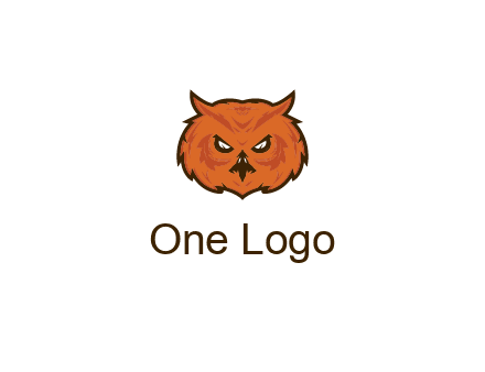 angry looking owl face