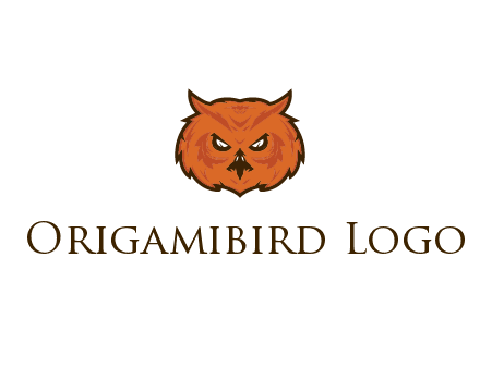 angry looking owl face