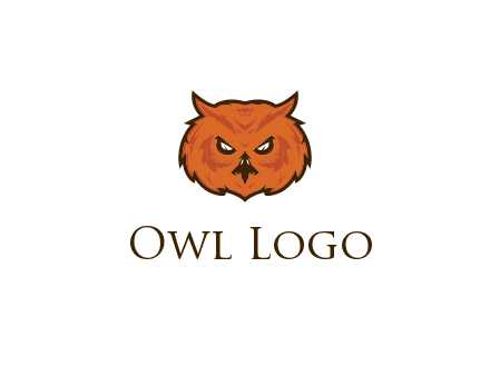 angry looking owl face