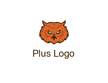 angry looking owl face