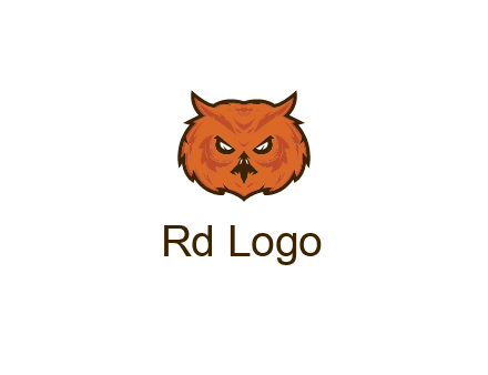 angry looking owl face
