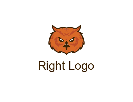 angry looking owl face
