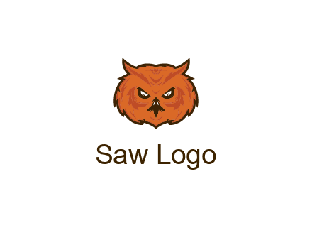 angry looking owl face