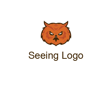angry looking owl face