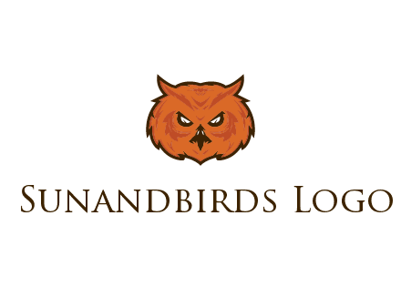 angry looking owl face
