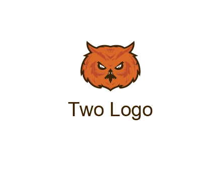 angry looking owl face