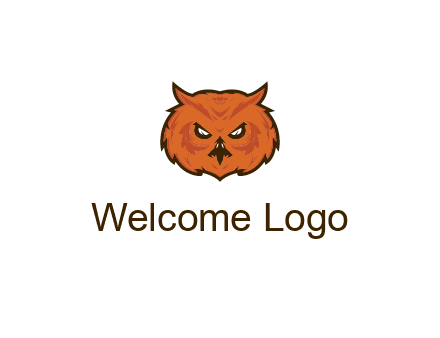 angry looking owl face