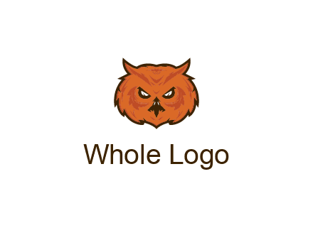angry looking owl face