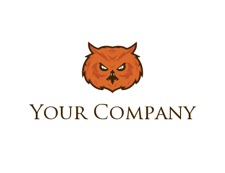 angry looking owl face