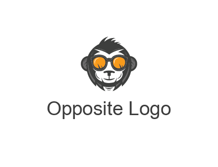 monkey wearing sunglasses