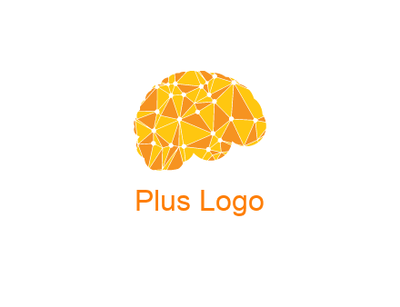 polygonal networking brain