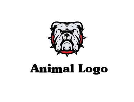 bulldog face with spiky collar