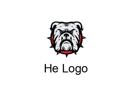 bulldog face with spiky collar