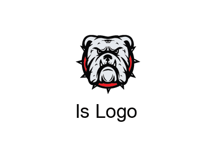 bulldog face with spiky collar