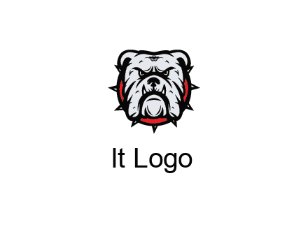 bulldog face with spiky collar