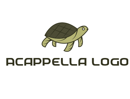 abstract turtle
