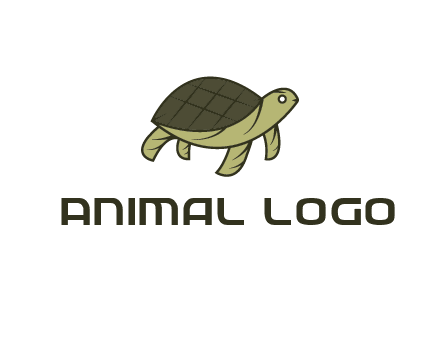 abstract turtle