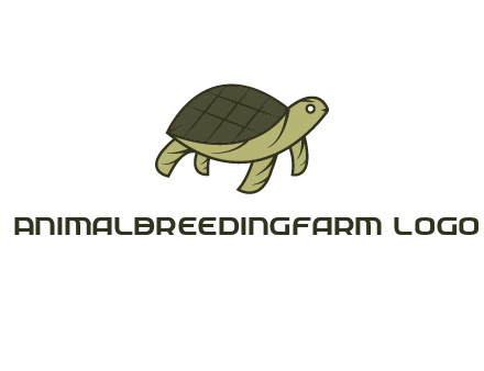 abstract turtle