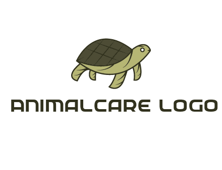 abstract turtle