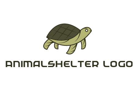 abstract turtle