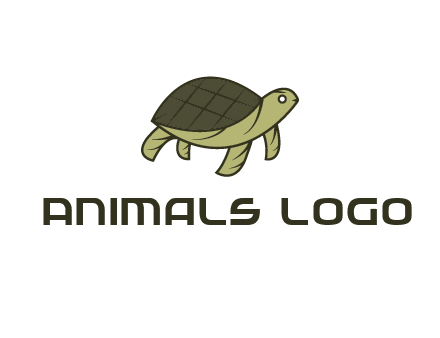 abstract turtle