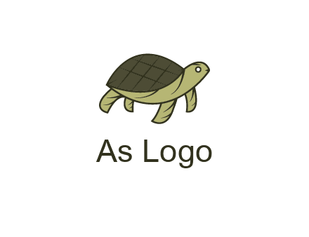 abstract turtle