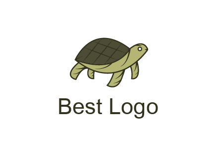 abstract turtle