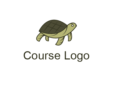abstract turtle