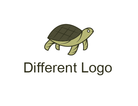 abstract turtle
