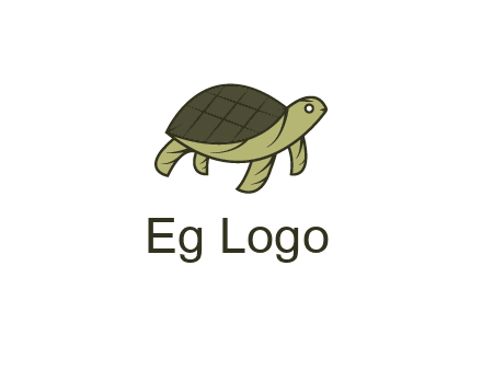 abstract turtle