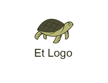 abstract turtle