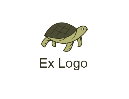 abstract turtle