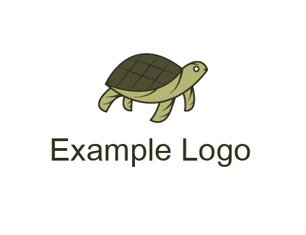 abstract turtle