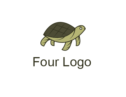 abstract turtle