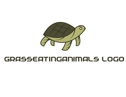 abstract turtle