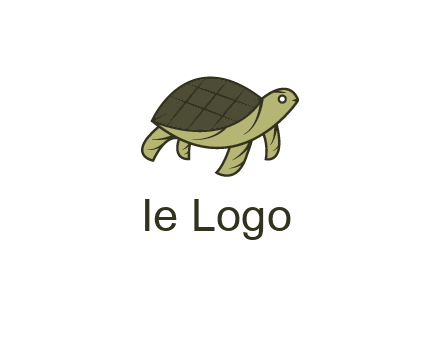 abstract turtle