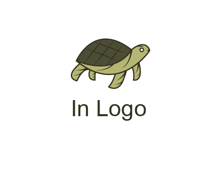 abstract turtle