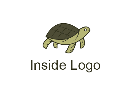 abstract turtle