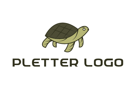 abstract turtle
