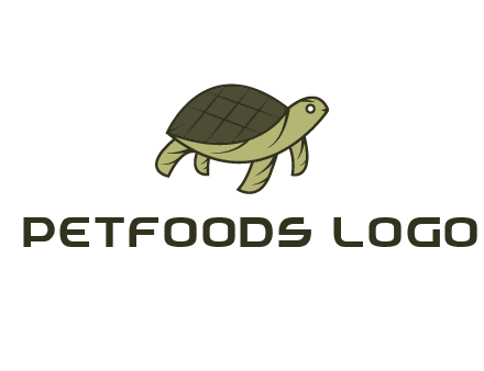 abstract turtle