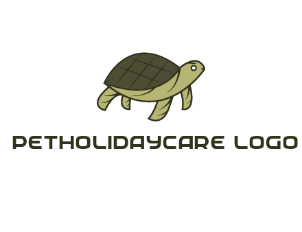 abstract turtle