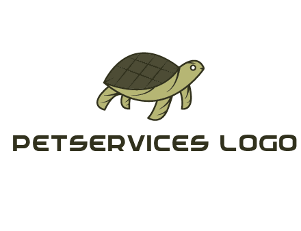 abstract turtle