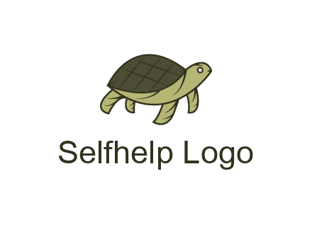 abstract turtle