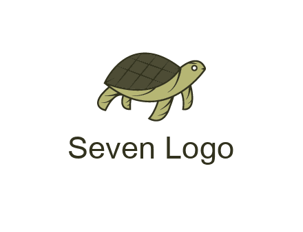 abstract turtle