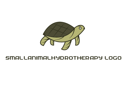 abstract turtle