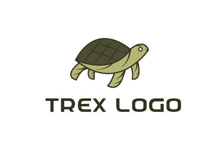 abstract turtle
