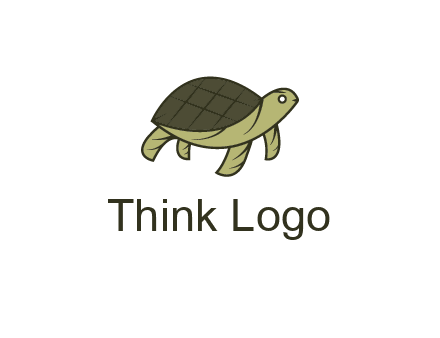 abstract turtle
