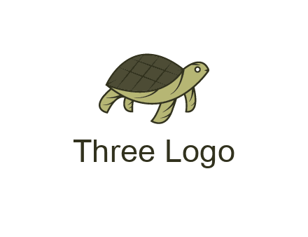 abstract turtle