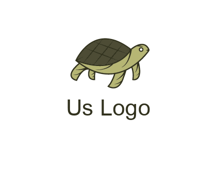 abstract turtle
