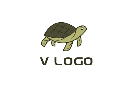 abstract turtle